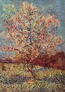 Vincent Van Gogh Bluhender Pfirsischbaum France oil painting artist